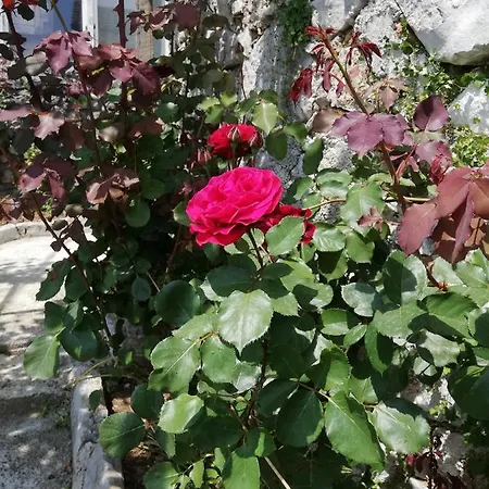 Prázdninový dům Holiday House Mavi -obrs Moscenicka Draga,riviera Opatija